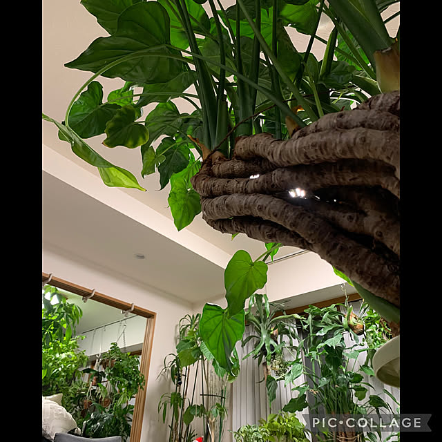 Aqettyさんの実例写真