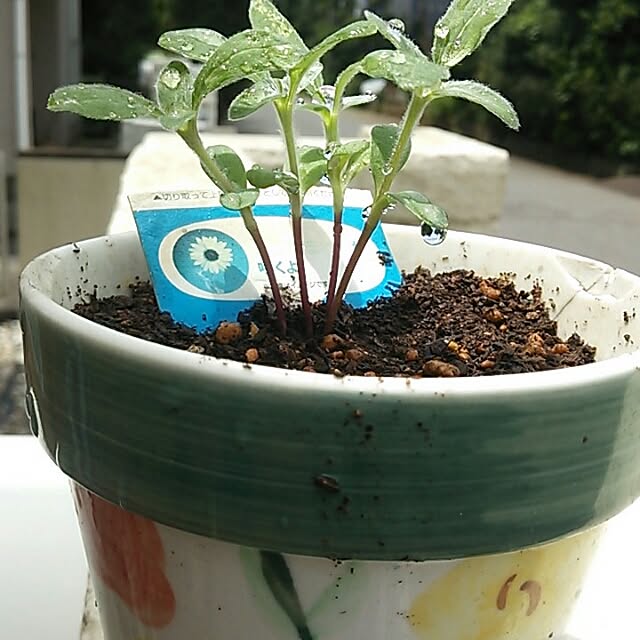 yukoさんの実例写真