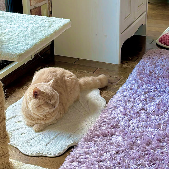 naokoさんの部屋