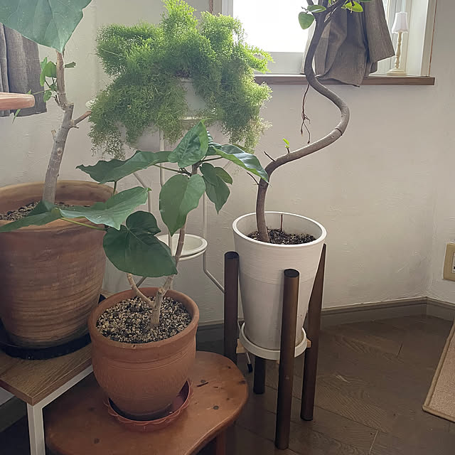 AcchanSaysさんの部屋