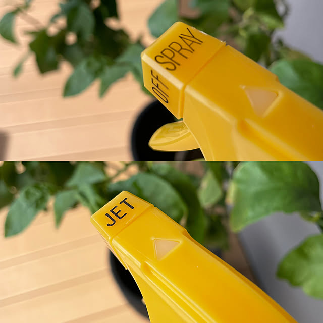 tina315mhさんの実例写真