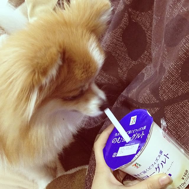 maopiさんの実例写真