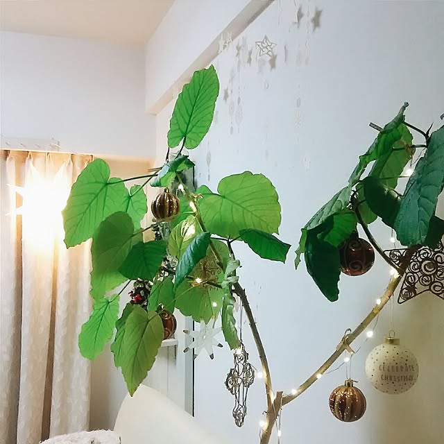 twinkleakoさんの実例写真