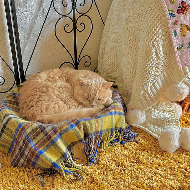 naokoさんの部屋