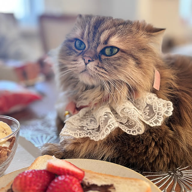 miyu39さんの部屋