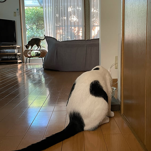 nobikoさんの実例写真