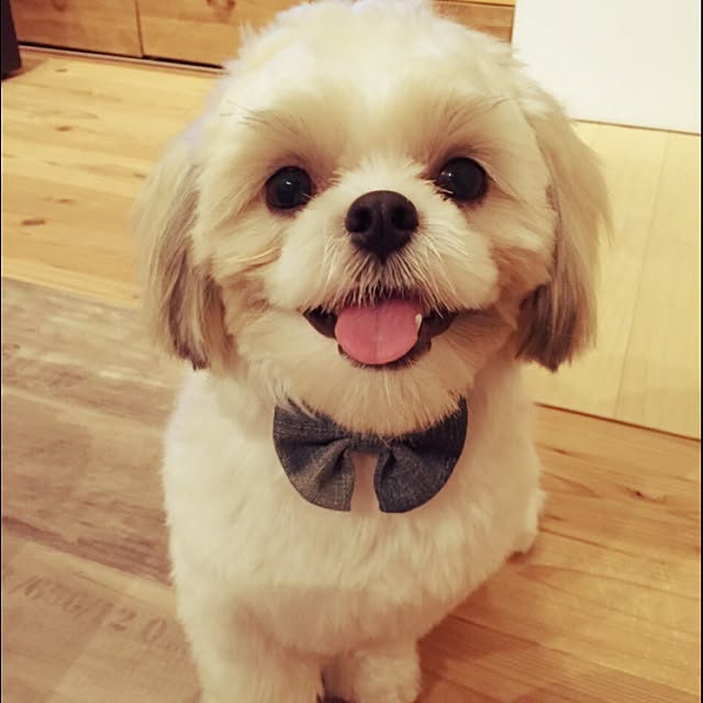 JASMINEさんの実例写真