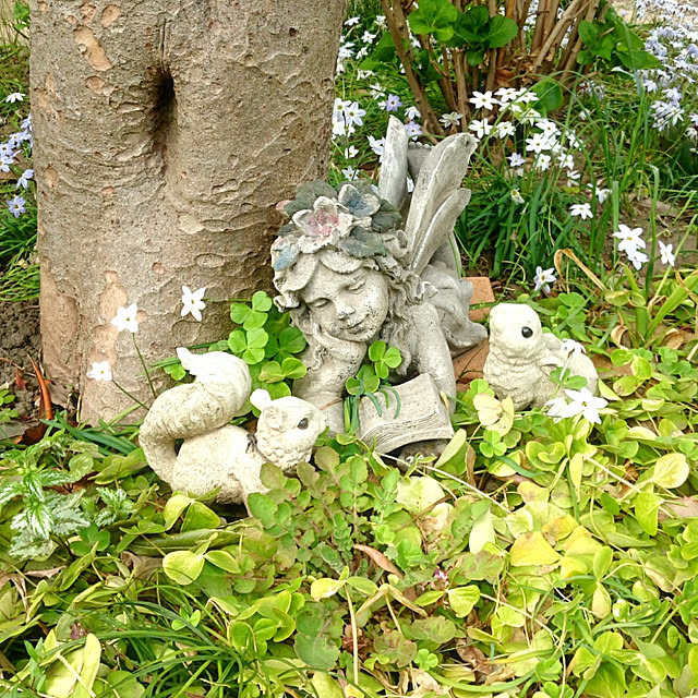 chururiさんの実例写真