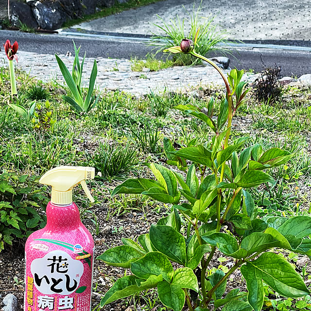 kabu10さんの実例写真
