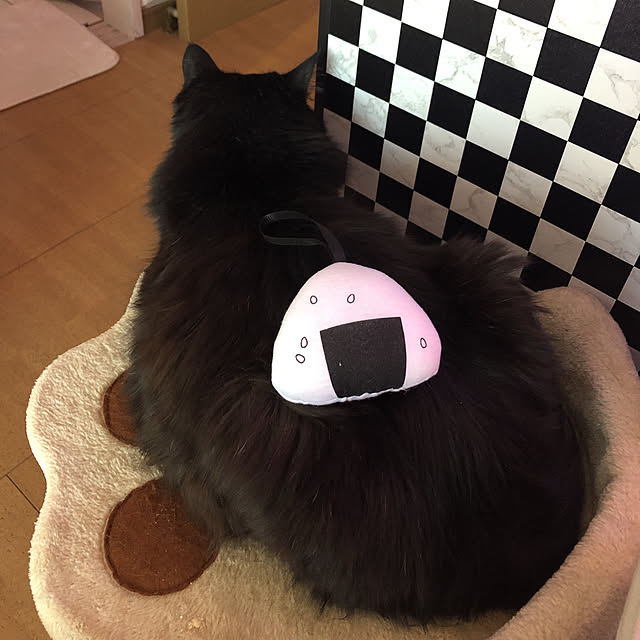 kanaさんの実例写真