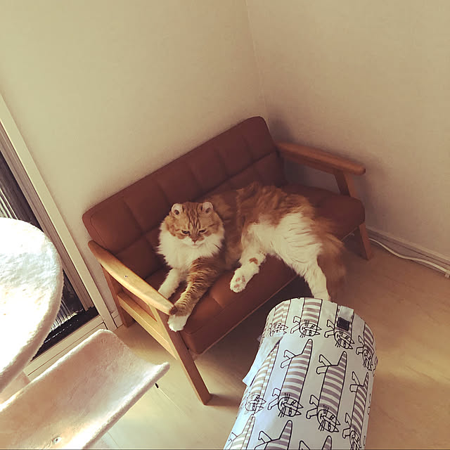 kameriyaさんの実例写真