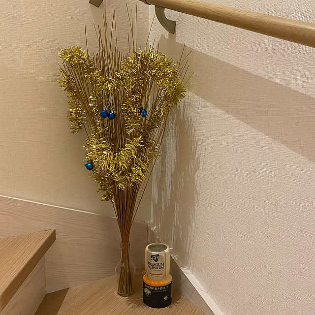 k_dinoさんの実例写真