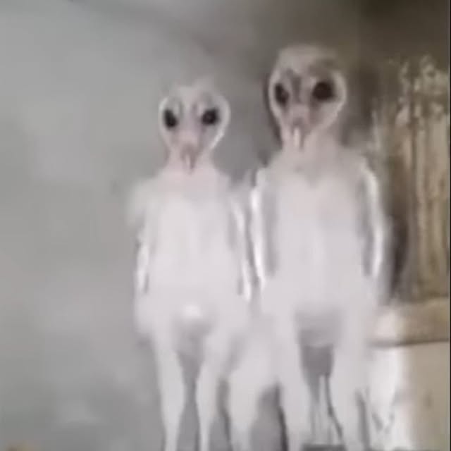 Tackunさんの実例写真