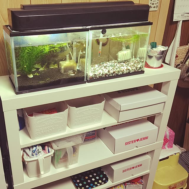 Yorikoさんの実例写真