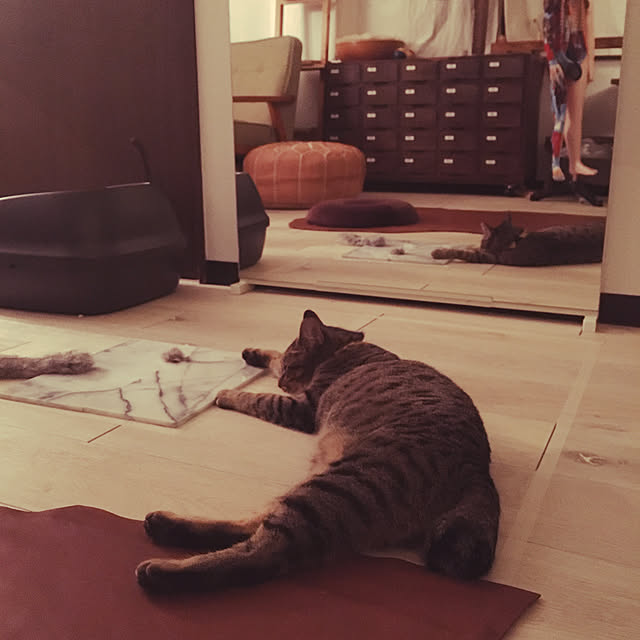 Mさんの実例写真