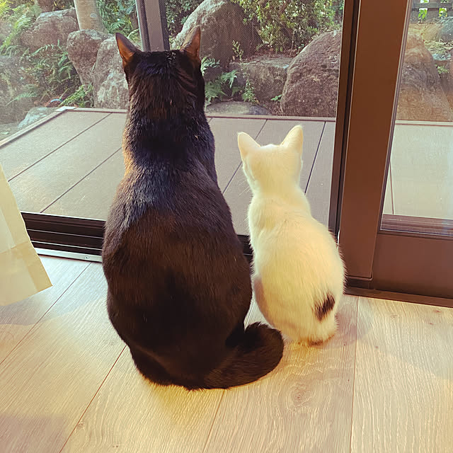 cocoさんの実例写真