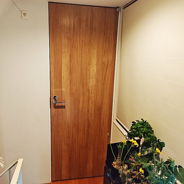 haruさんの実例写真