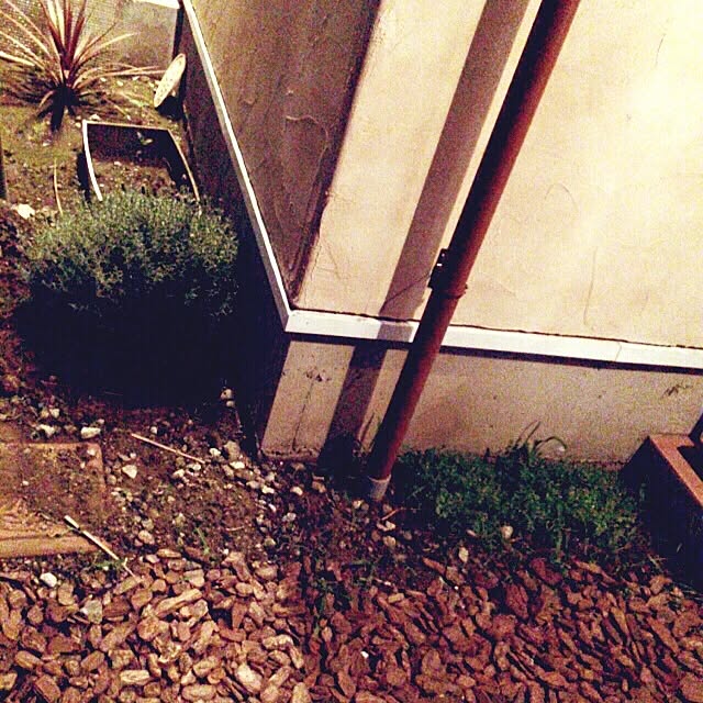 ailovefamilyさんの実例写真