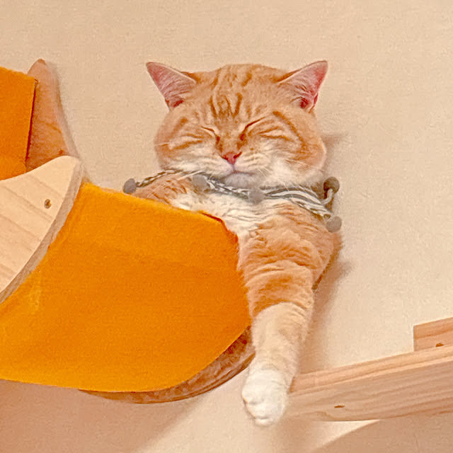 moolさんの部屋
