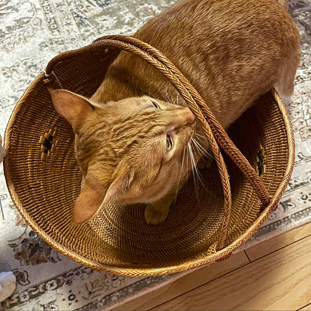 rockeyさんの実例写真