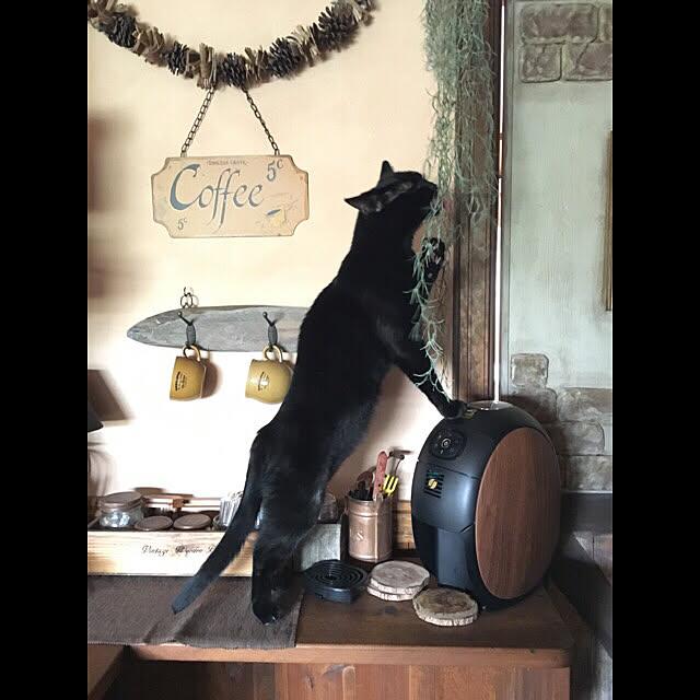 tabasaさんの実例写真