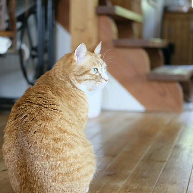 okaasanさんの実例写真