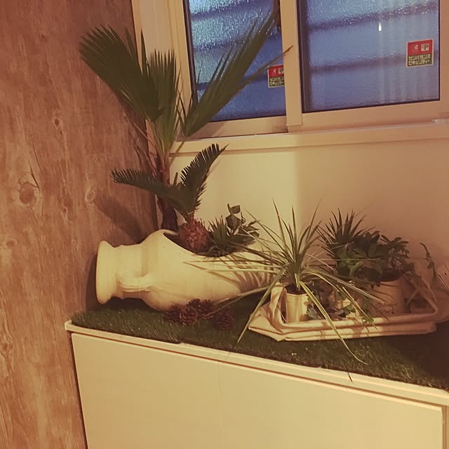 kokepapaさんの実例写真