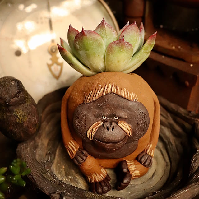 butachanさんの実例写真