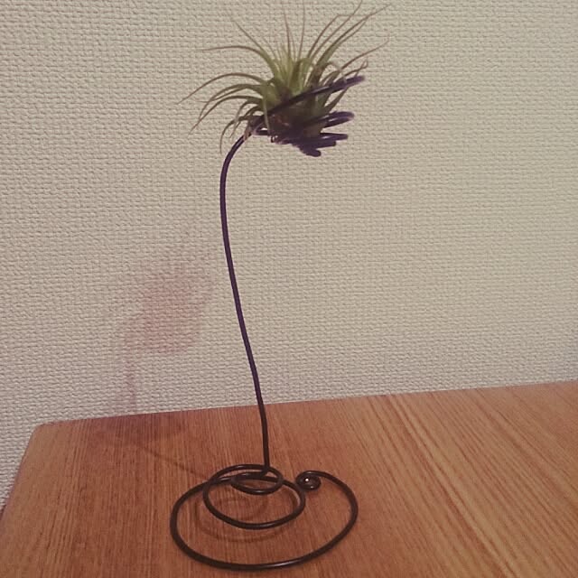 shinshiromurasanさんの実例写真