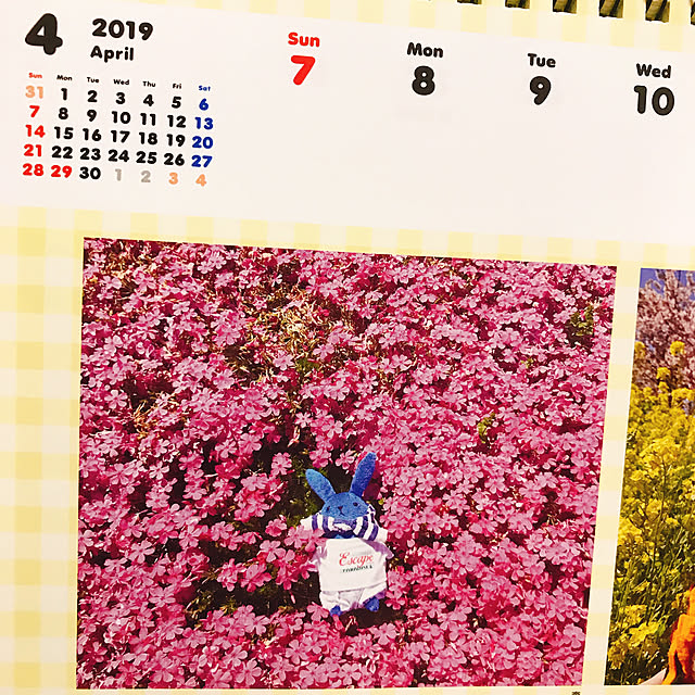 __ancoさんの実例写真
