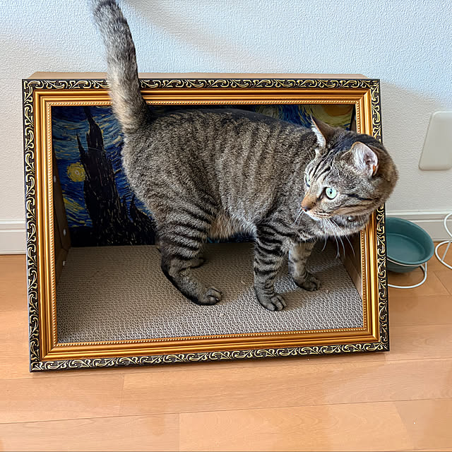 Cohenさんの部屋