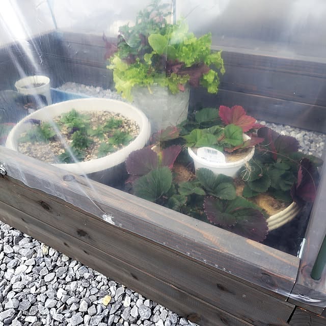 mutsuさんの部屋