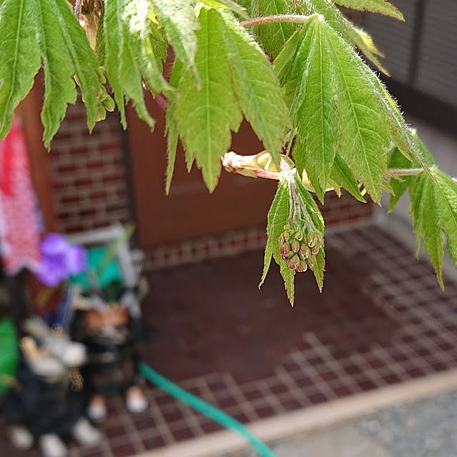 NOAHさんの実例写真