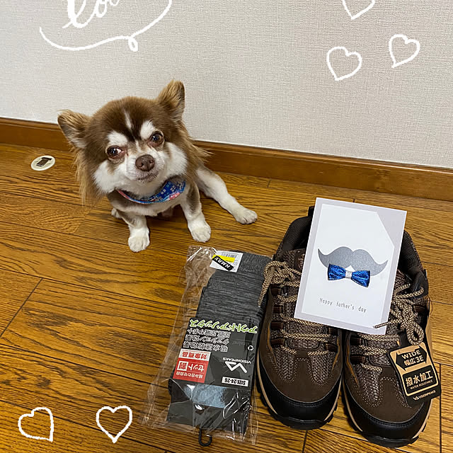 chIoeさんの実例写真