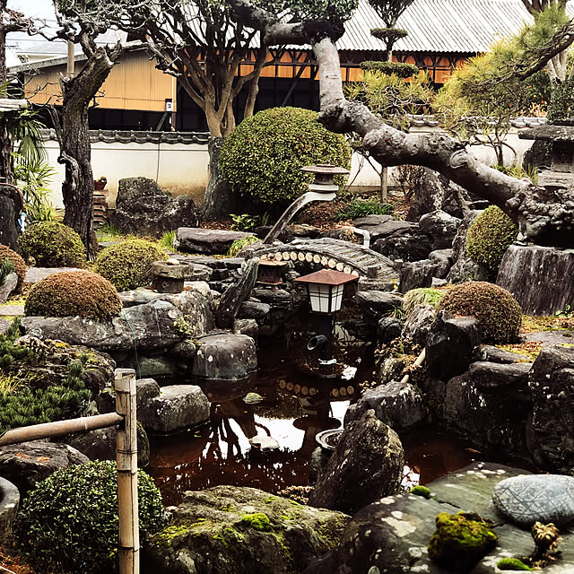 実例写真