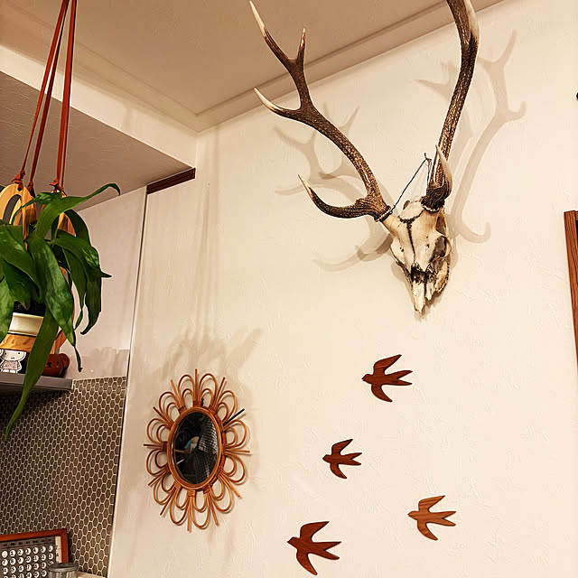 mamizuさんの部屋