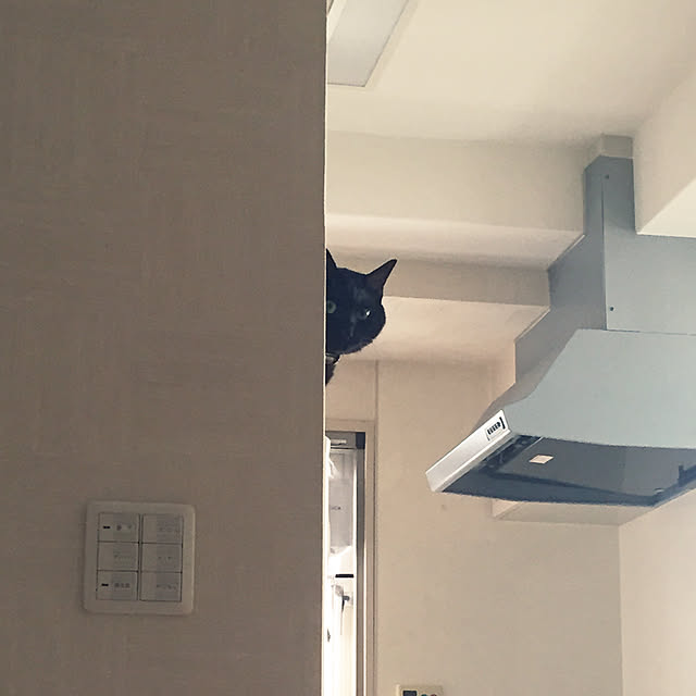 fuminさんの実例写真