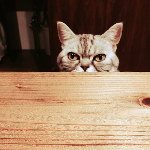 fuku48さんの実例写真