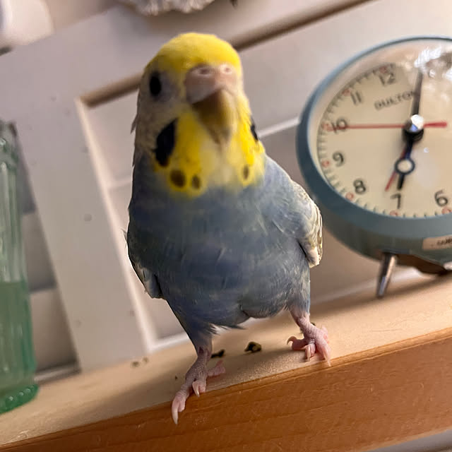 Atsukoさんの部屋