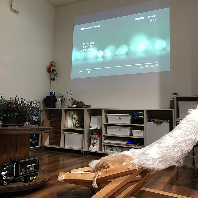 shiratamaさんの部屋