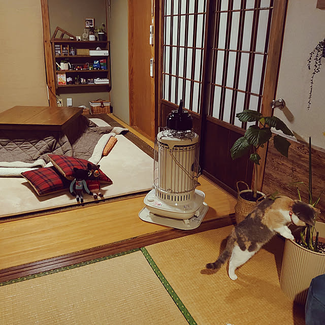 fukuさんの実例写真