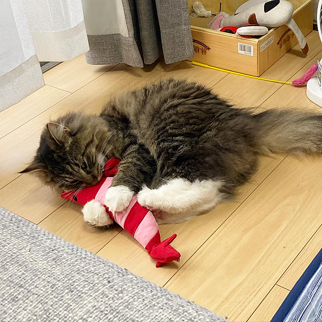 sh.0514さんの実例写真