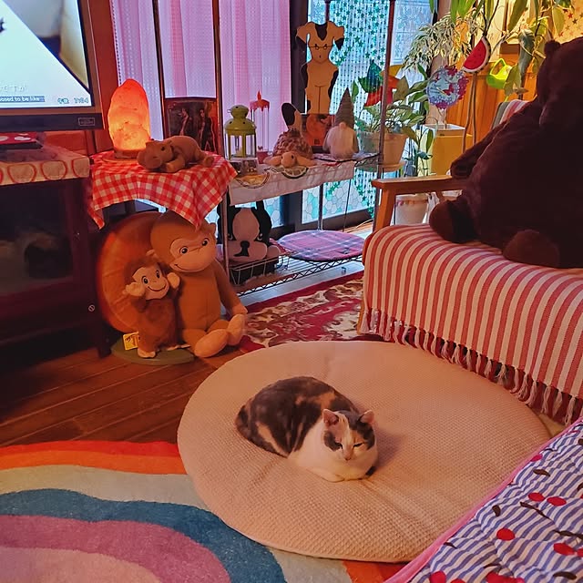kumutanさんの部屋