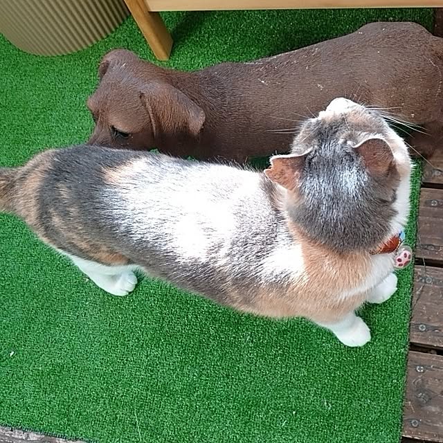 fukuさんの部屋