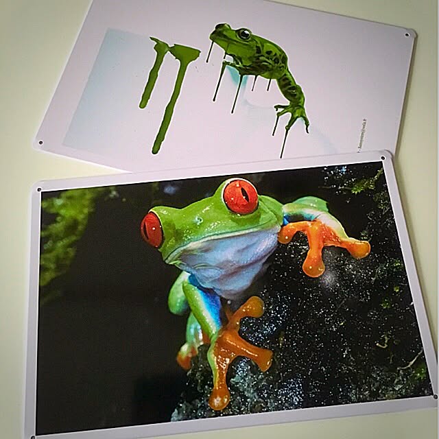 kaerucoさんの実例写真