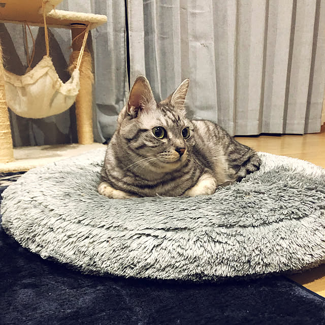 syrnuu946さんの実例写真