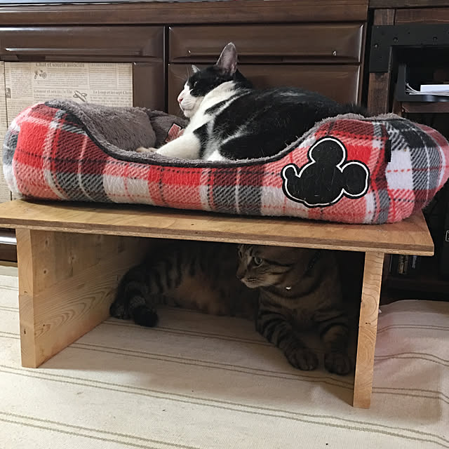 kmakkyiさんの実例写真