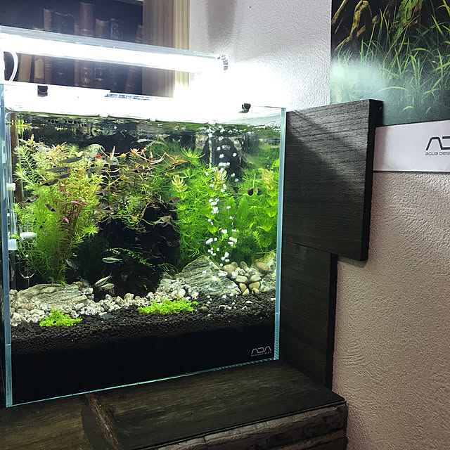 kouta_Co.さんの実例写真