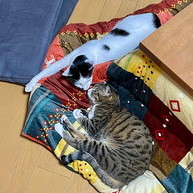 nobikoさんの実例写真