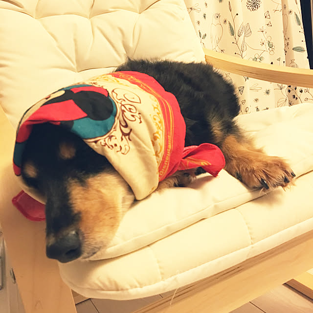 ohanaさんの実例写真